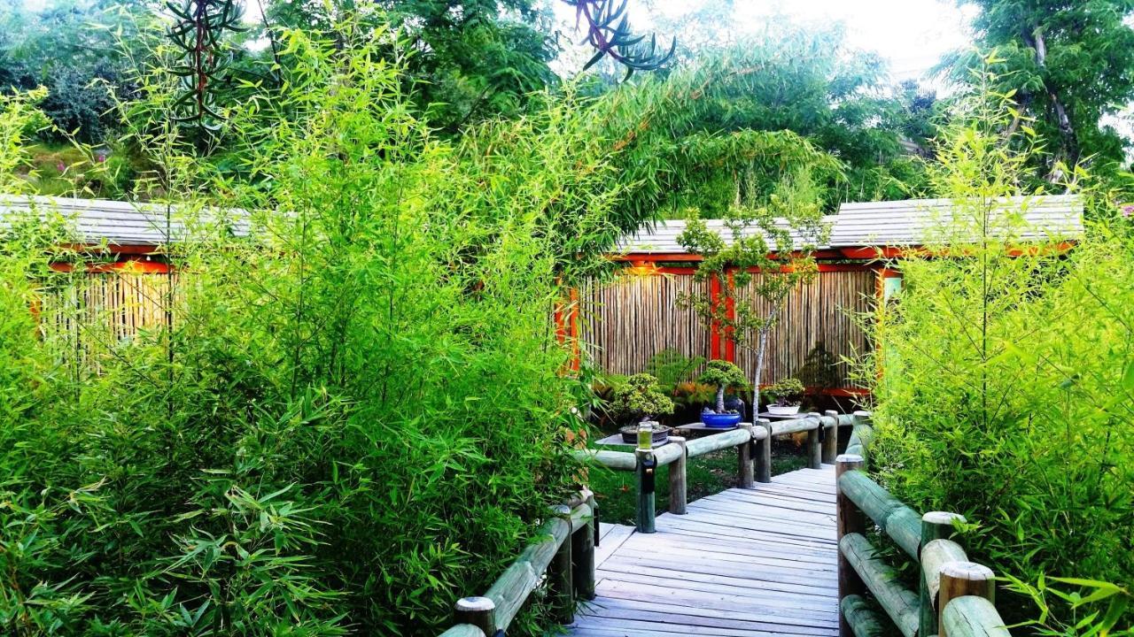 Paradise Private Zen Studios Knysna Bagian luar foto