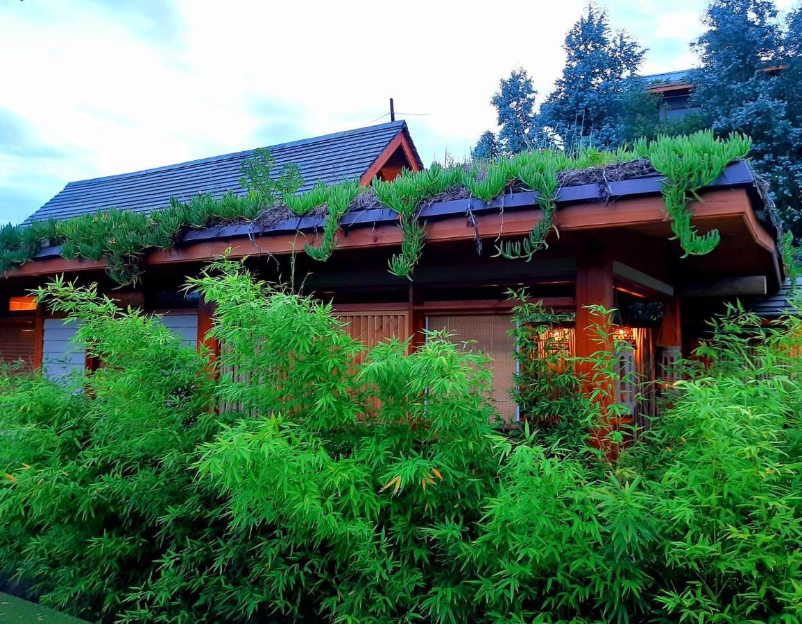 Paradise Private Zen Studios Knysna Bagian luar foto